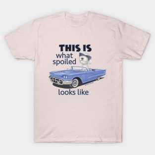 Classic Blue car driven by a labradoodle T-Shirt